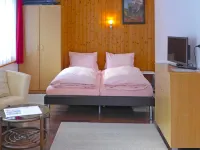 Chalet Bärgsunna - Homestays