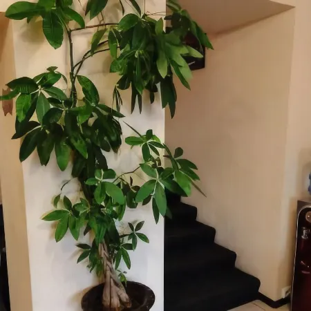 Отель Престиж