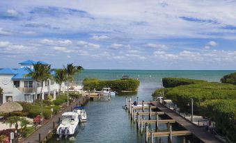 a tranquil waterfront scene with boats docked at a pier and lush greenery surrounding the area at Mangroves