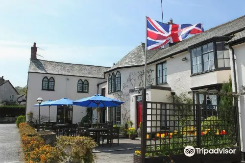Lifton Hall Hotel Hotels in Milton Abbot