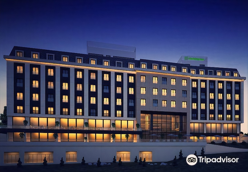 Holiday Inn Istanbul - Tuzla Bay (Holiday Inn Istanbul - Tuzla Bay, an Ihg Hotel)