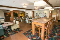 Hampton Inn Hadley-Amherst Area - Badekar