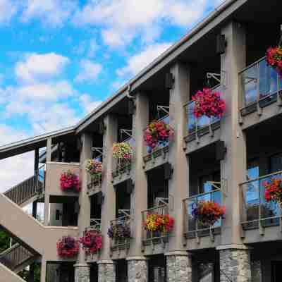 액센트 인 밴쿠버 에어포트 Hotel Exterior