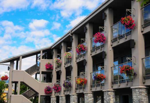 액센트 인 밴쿠버 에어포트