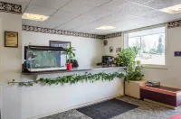 エコノ ロッジ ベルフォンテ I-99