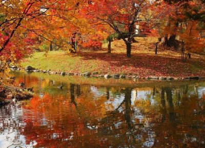 ホテル周辺 ラ・ジェント・ステイ札幌大通の写真