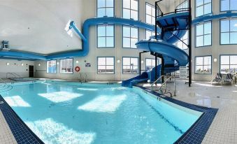 Best Western Plus South Edmonton Inn  Suites