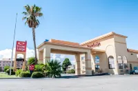 Econo Lodge Las Cruces University Area Hotels in Las Cruces