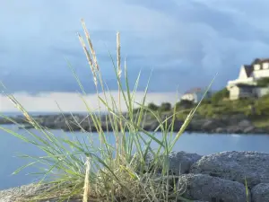 Nordlandet