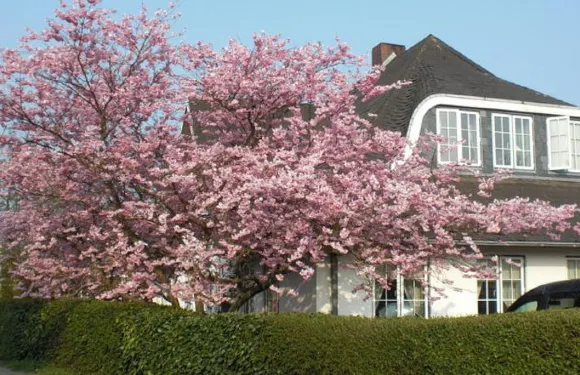 伊克內克佩酒店