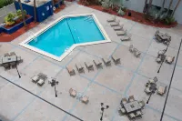 Southbank Hotel Jacksonville Riverwalk - Swimmingpools