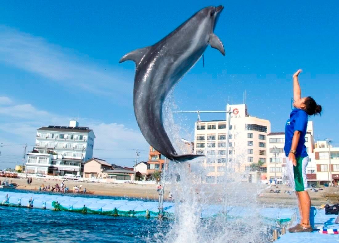 Himakajima Isuzukan Minamichita Updated 22 Room Price Reviews Deals Trip Com