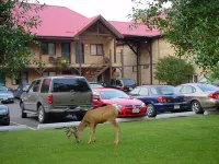Aspen Village - Parkplatz