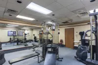 Quality Inn & Suites Plano East - Richardson - Fitnessstudio
