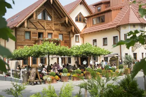 Wellness-Hotel Adler