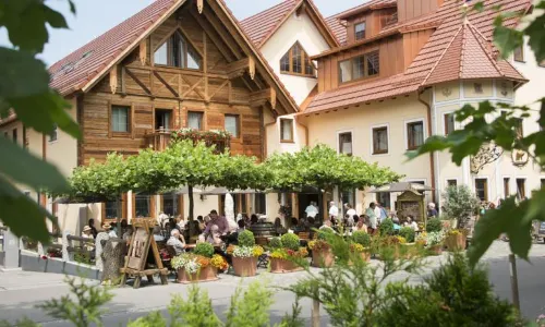 Wellness-Hotel Adler