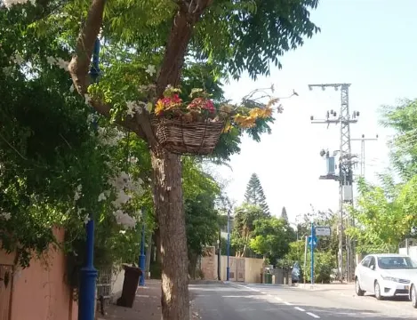 צימר ברחובות - Israeli Home - Housity