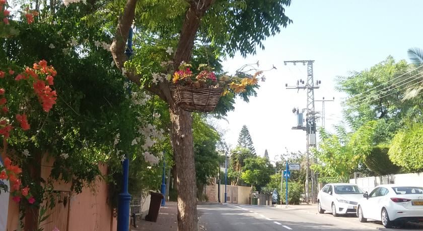 צימר ברחובות - Israeli Home - Housity