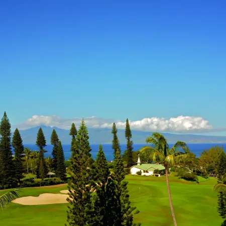 The Ritz-Carlton Maui, Kapalua