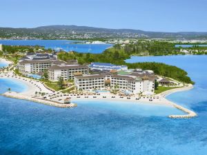 Secrets Wild Orchid