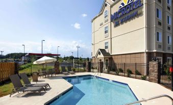 Microtel Inn & Suites by Wyndham Anderson/Clemson