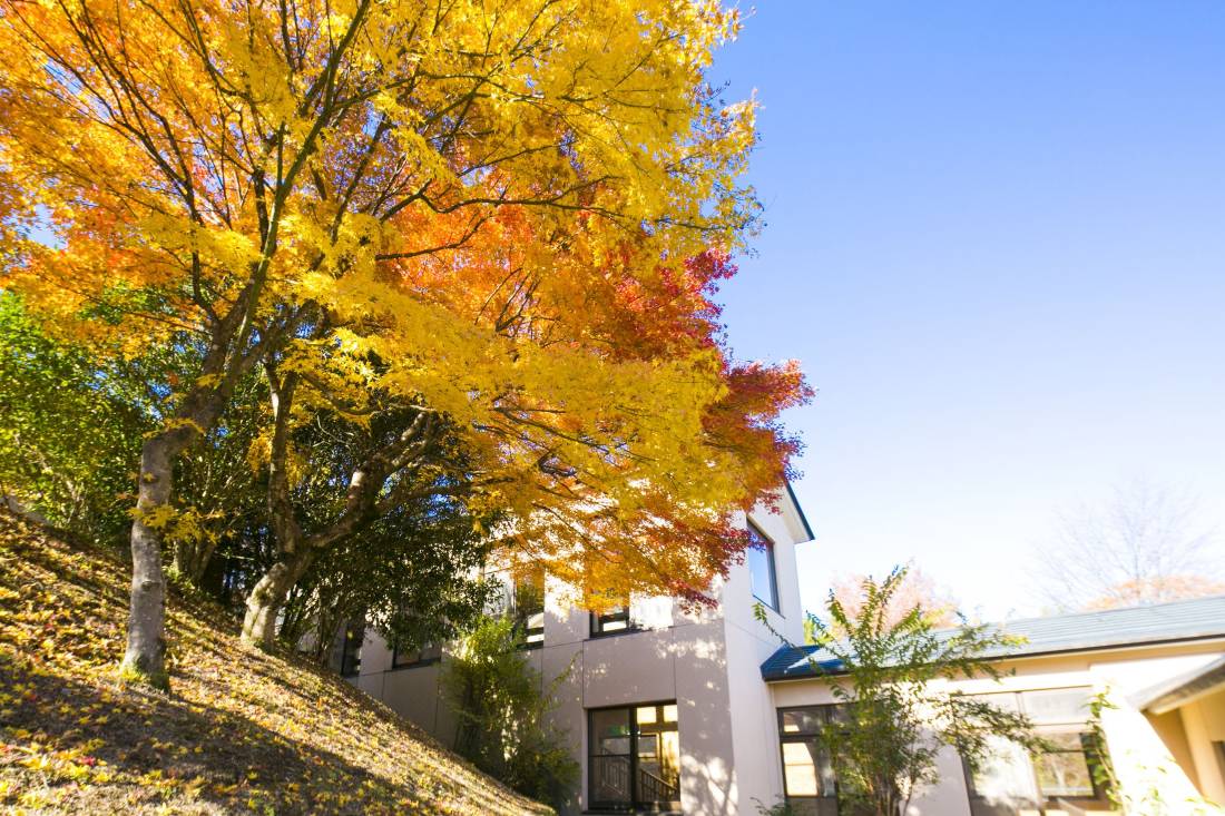 フォレストリゾート コニファーいわびつ 東吾妻町 を宿泊予約 22年安い料金プラン 口コミ 部屋写真 Trip Com