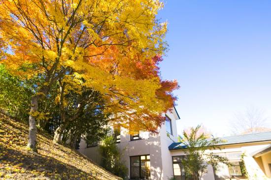 フォレストリゾート コニファーいわびつ 東吾妻町 を宿泊予約 22年安い料金プラン 口コミ 部屋写真 Trip Com