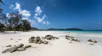 Nest Beach Club
