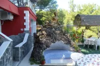Tunc Hotel - Airport Shuttle
