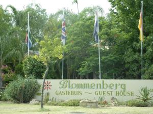 Blommenberg Guest House