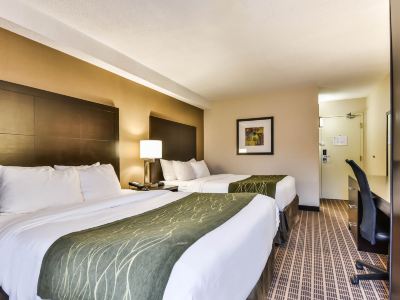Comfort Inn