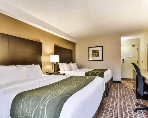 Comfort Inn Hotels in Windsor