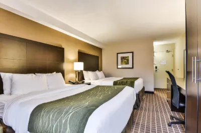 Comfort Inn Hotel a Windsor