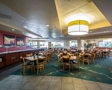 Rosen Inn Lake Buena Vista