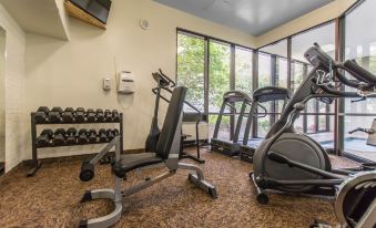 Quality Inn & Suites Bay Front