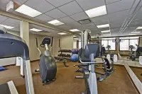 Blackstone Mountain Lodge by Clique - Gym