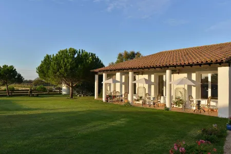 Mas de la Grenouillère Hôtel et Centre équestre en Pleine Nature