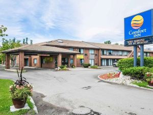 Comfort Inn