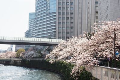 ホテルからの眺望 ニューオータニ イン東京の写真
