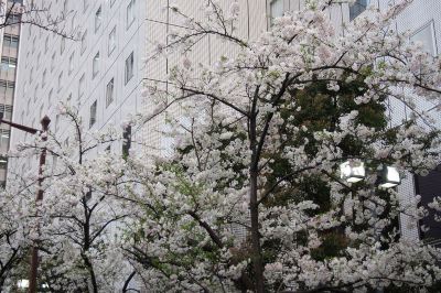 ホテル周辺 ニューオータニ イン東京の写真