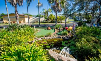 a group of people playing miniature golf on a green course , surrounded by palm trees and a pond at Discovery Parks - Ballina