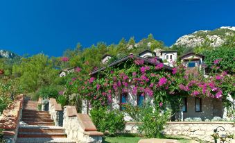 Dionysos Village Hotel Marmaris
