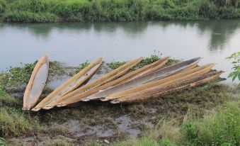 Sauraha Holiday Home Riverside