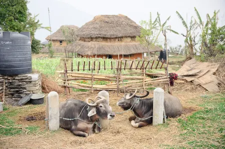 Hananoie-A Permaculture Resort Отели в г. Lumle