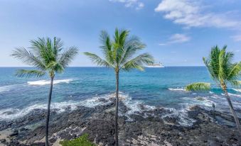 Kona Reef #D31 - 2 Br Condo