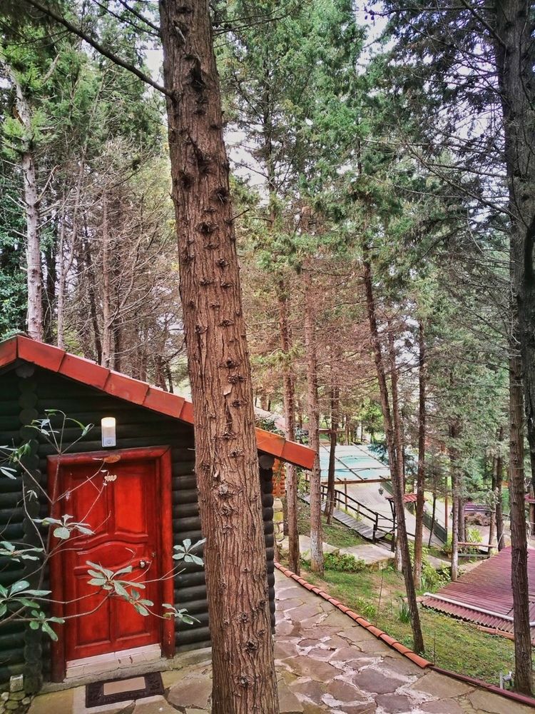 Ağva Orman Evleri Forest Lodge (Agva Orman Evleri Forest Lodge)