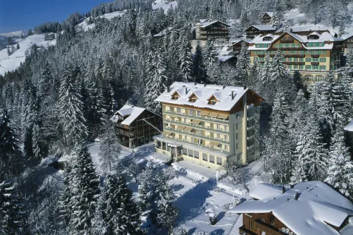 Wengener Hof Hotel - 4 tähden