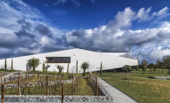 a modern white building with a stone wall and plants in front of it , under a cloudy sky at L'And Vineyards