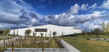 L'And Vineyards - Relais & Châteaux Отели в г. Форуш-де-Вале-де-Фигейра