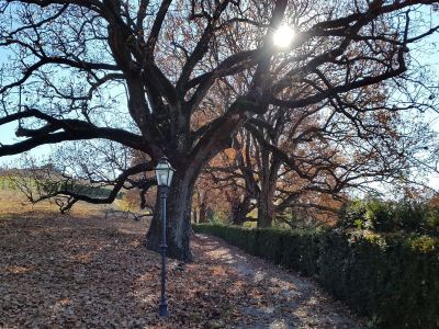 Surroundings Hotel Villa Beccaris Photo